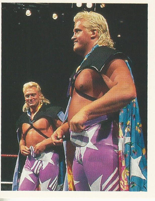 WWF Merlin Stickers 1991 Beverly Brothers #245