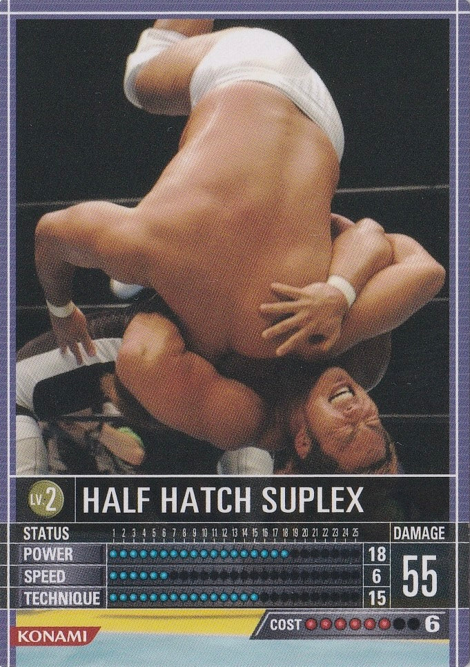 Half Hatch Suplex