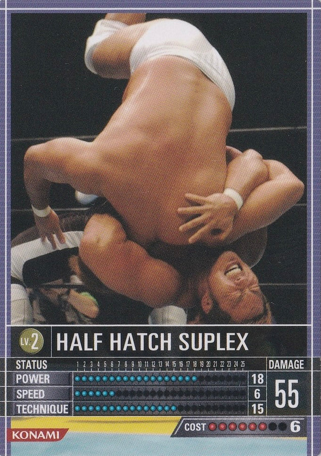 Half Hatch Suplex