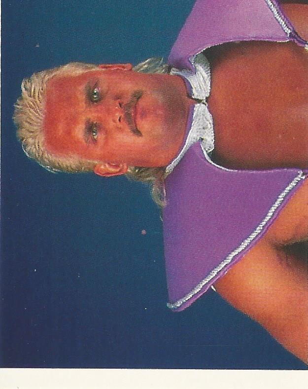 WWF Merlin Stickers 1991 Beverly Brothers #246