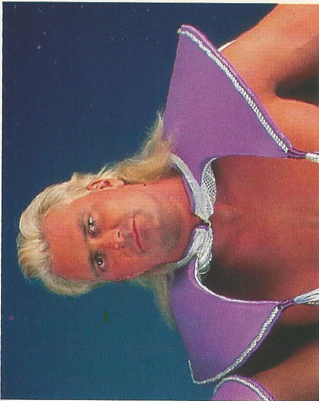 WWF Merlin Stickers 1991 Beverly Brothers #247
