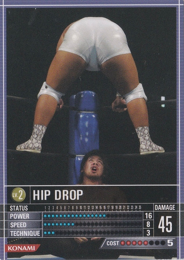 HIP Drop