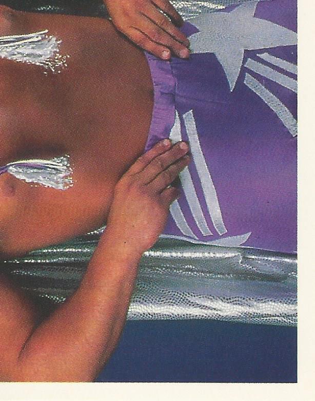 WWF Merlin Stickers 1991 Beverly Brothers #248