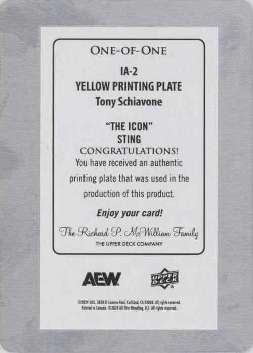 Iconic Allies – Sting and Tony Schiavone’s History Goes FAR Beyond AEW