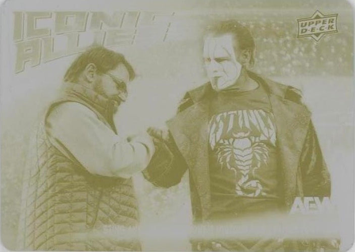 Iconic Allies – Sting and Tony Schiavone’s History Goes FAR Beyond AEW