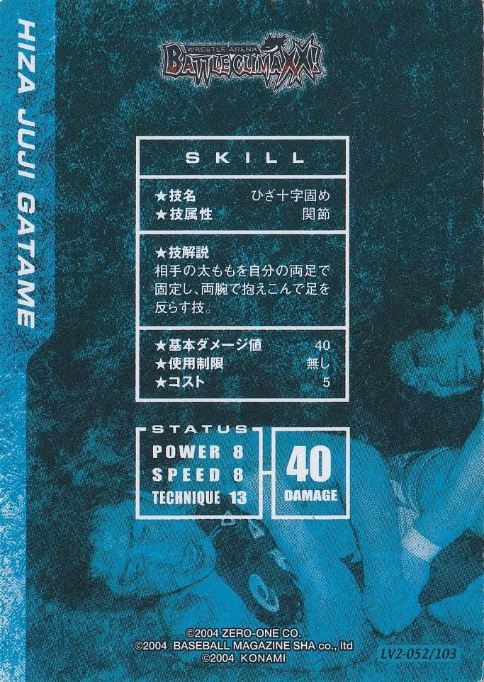Hiza Juji Gatame