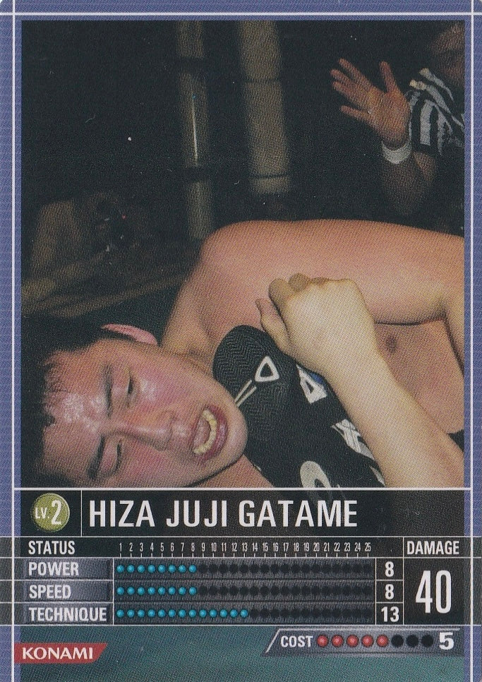 Hiza Juji Gatame