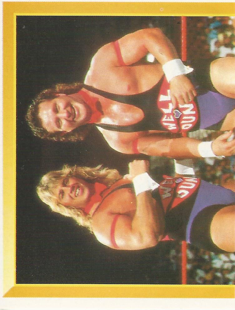 WWF Merlin Sticker 1994 Well Dunn #249