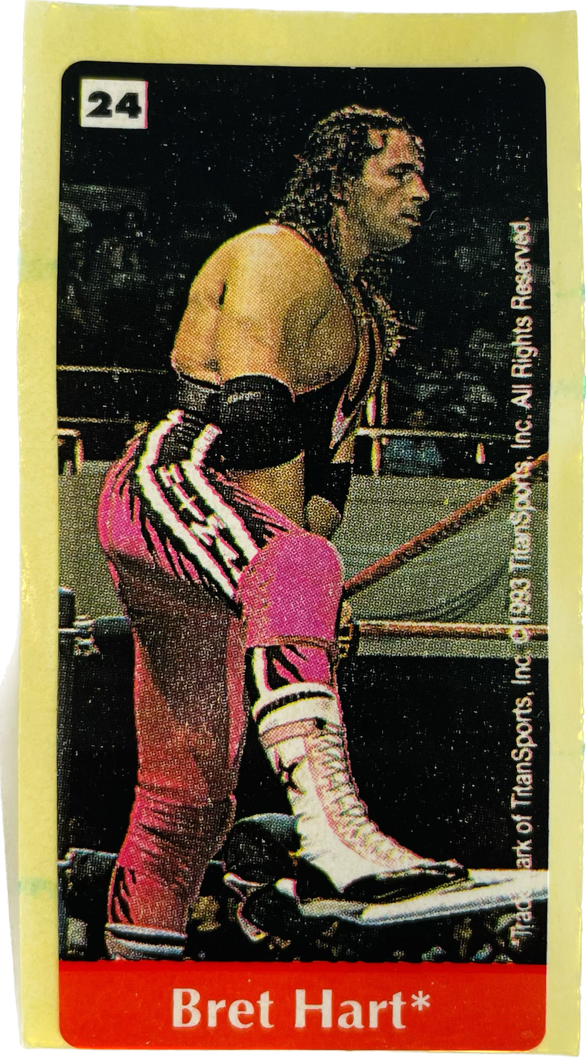 WWF Dunkin Bubble Gum Stickers (1993) No. 24 Bret Hart PW Catalog