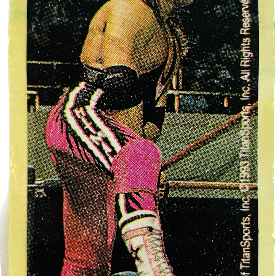 WWF Dunkin Bubble Gum Stickers (1993) No. 24 Bret Hart PW Catalog