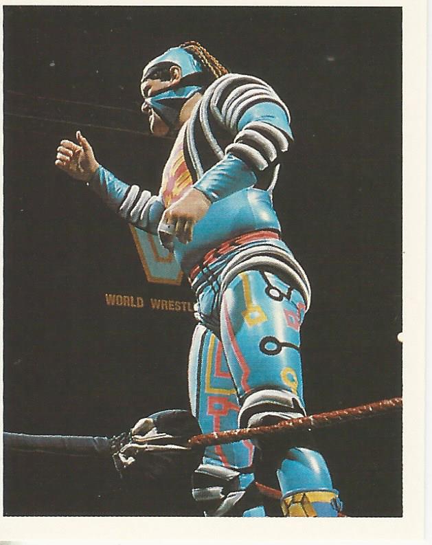 WWF Merlin Stickers 1992 Max Moon #24