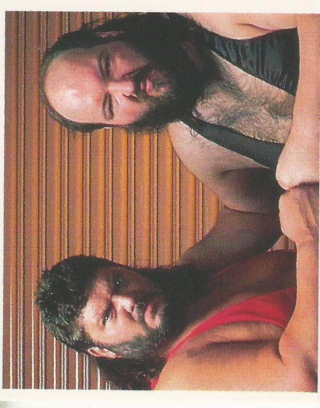 WWF Merlin Stickers 1991 Natural Disasters #24