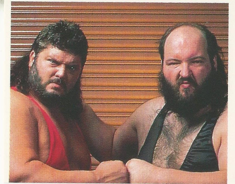 WWF Merlin Stickers 1991 Natural Disasters #24