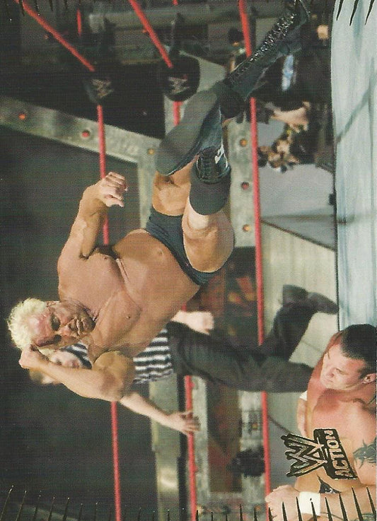 WWE Topps Action 2007 Ric Flair #24