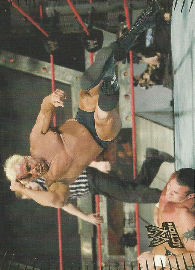WWE Topps Action 2007 Ric Flair #24