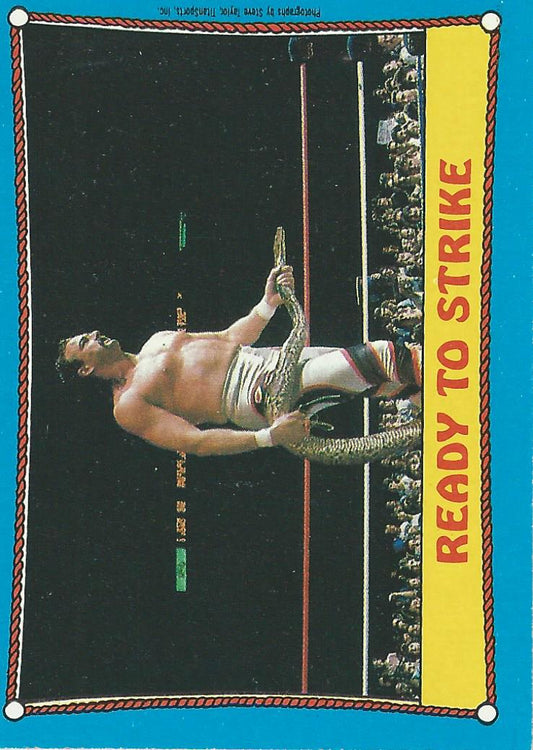 Topps WWF Wrestling Cards 1987 Jake the Snake Roberts #24