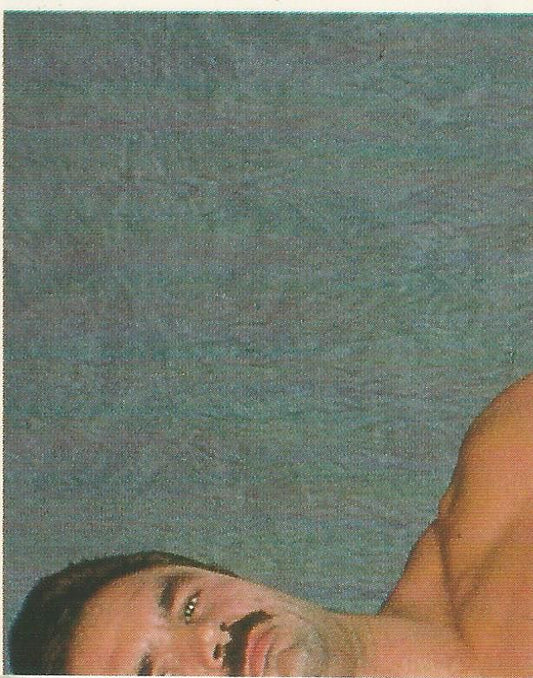 WWF Merlin Sticker Collection 1990 Rick Rude #24