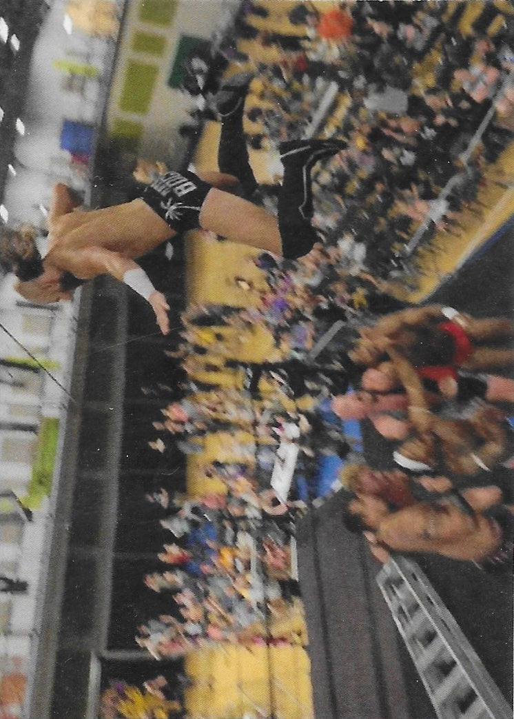 Nate Bock Flies OFF Balcony trading card PW Catalog
