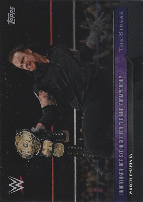 Wrestlemania 13 – Undertaker DEF. Sycho SID for the WWE Championship