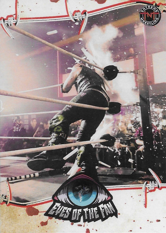 Eyes of the Fan trading card PW Catalog