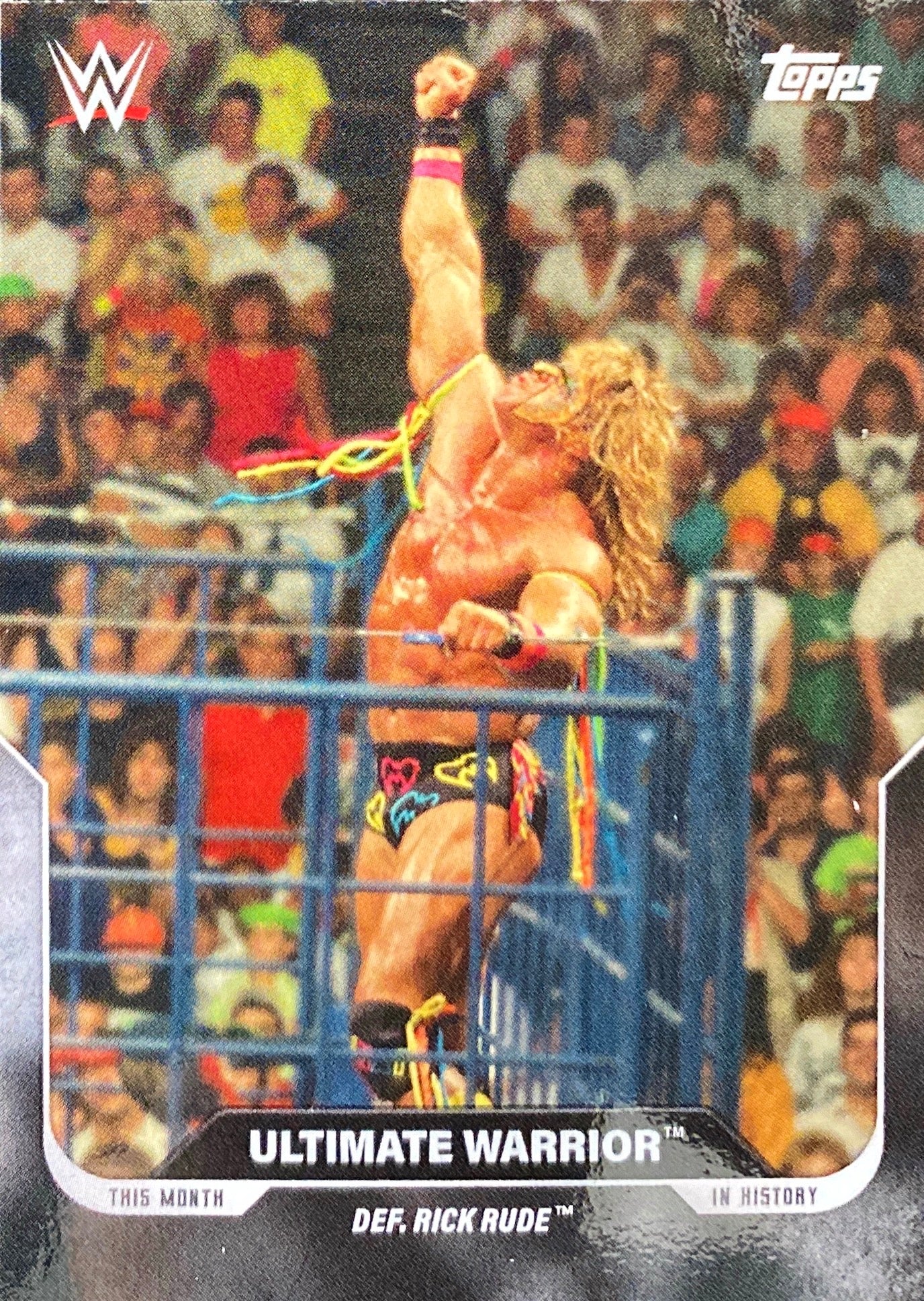 SummerSlam 90 – August 27, 1990 Ultimate Warrior DEF. Rick Rude