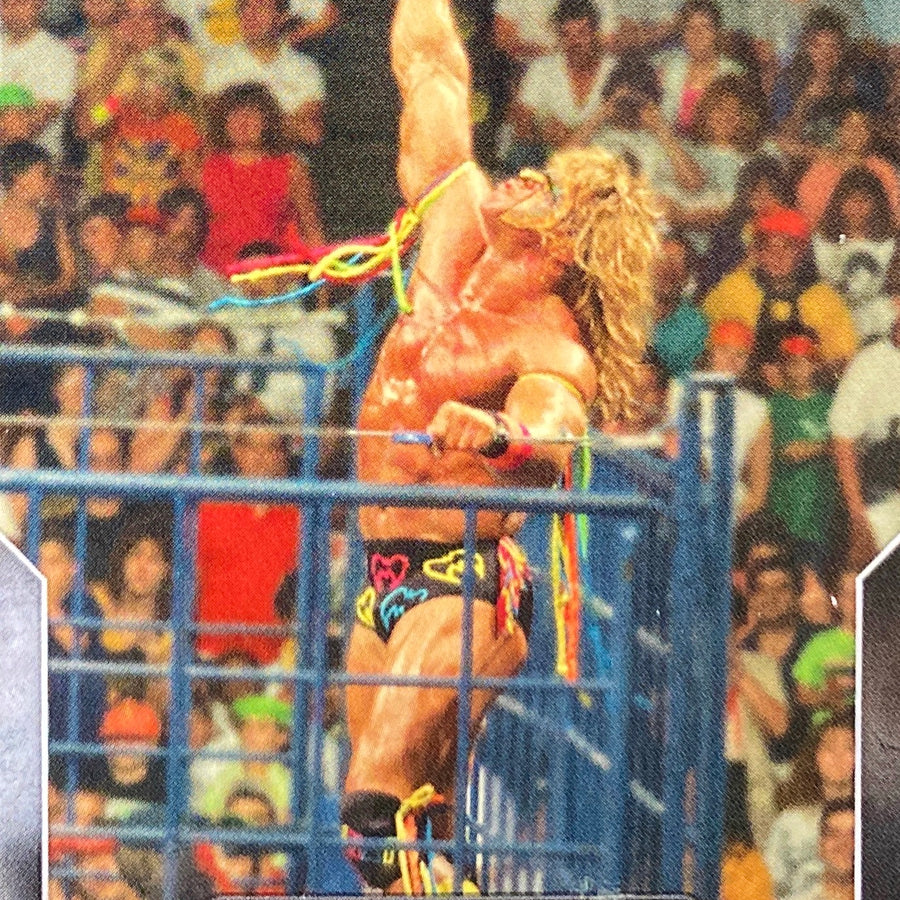 SummerSlam 90 – August 27, 1990 Ultimate Warrior DEF. Rick Rude