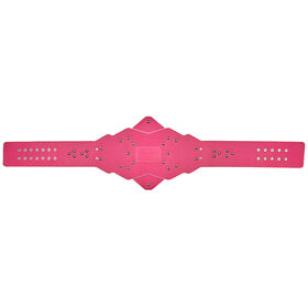 UpUpDownDown Championship Replica Title
