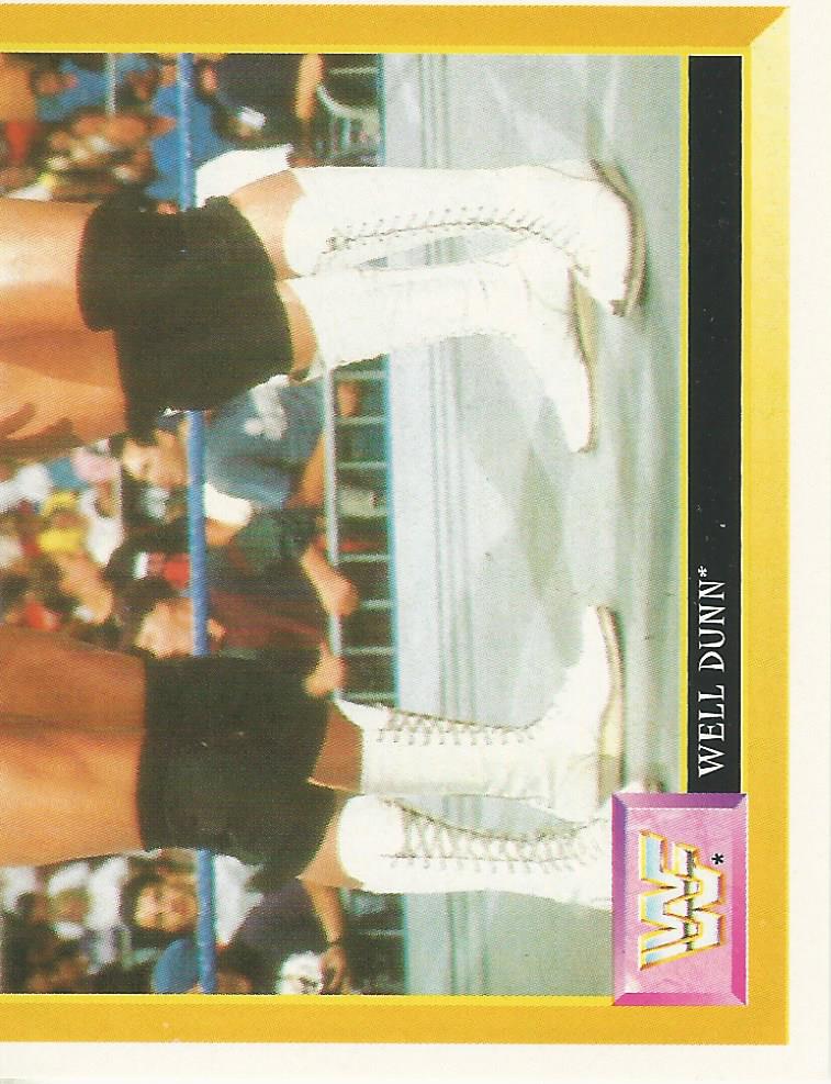 WWF Merlin Sticker 1994 Well Dunn #250
