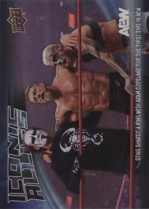 Iconic Allies – Sting Shared a Ring With Adam Copeland for the First Time in AEW