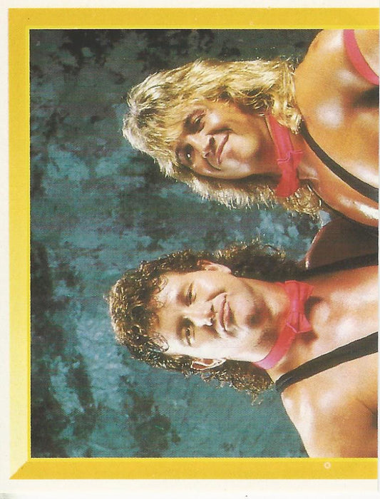 WWF Merlin Sticker 1994 Well Dunn #251