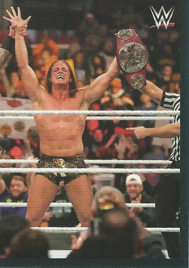WWE Panini 2022 Sticker Collection Matt Riddle #251