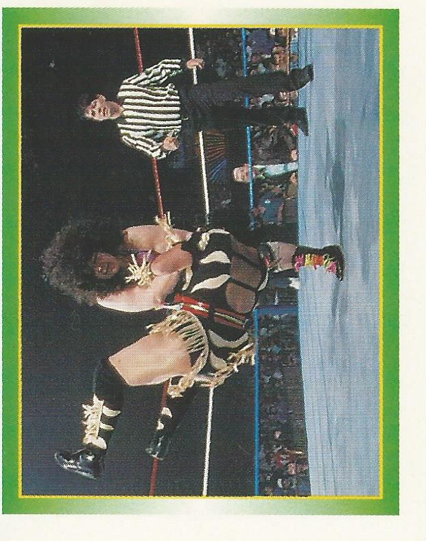 WWF Merlin Stickers 1995 Bertha Faye #251
