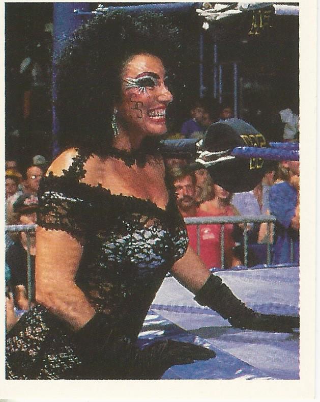 WWF Merlin Stickers 1992 Sensational Sherri #252