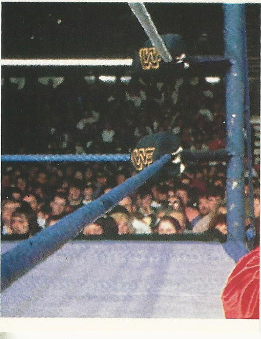 WWF Merlin Stickers 1992 Sensational Sherri #253