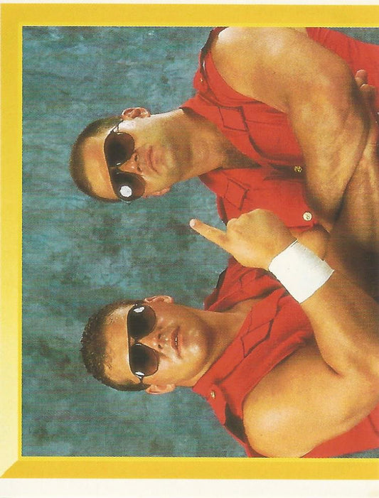 WWF Merlin Sticker 1994 Quebecers #253