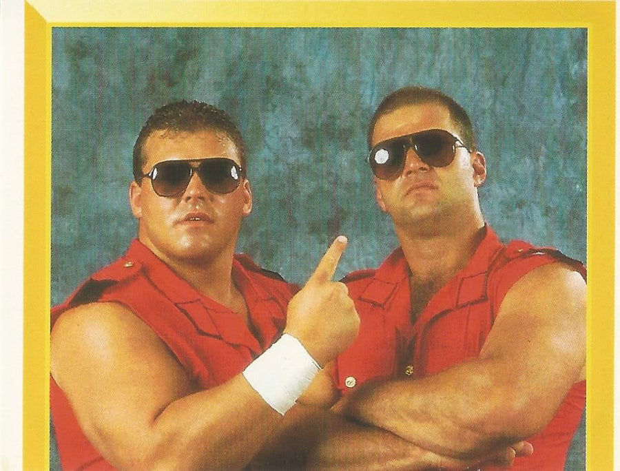 WWF Merlin Sticker 1994 Quebecers #253