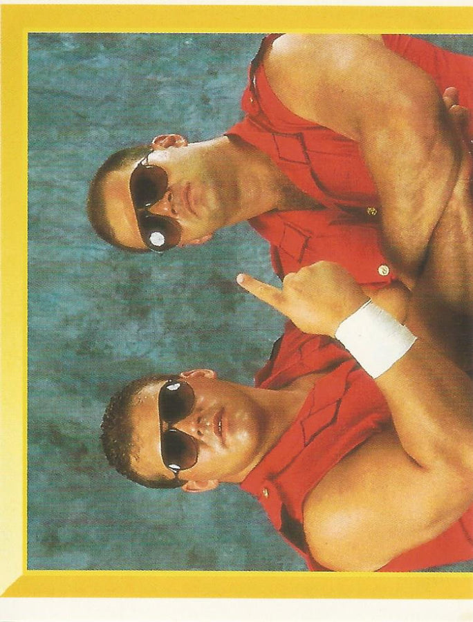 WWF Merlin Sticker 1994 Quebecers #253