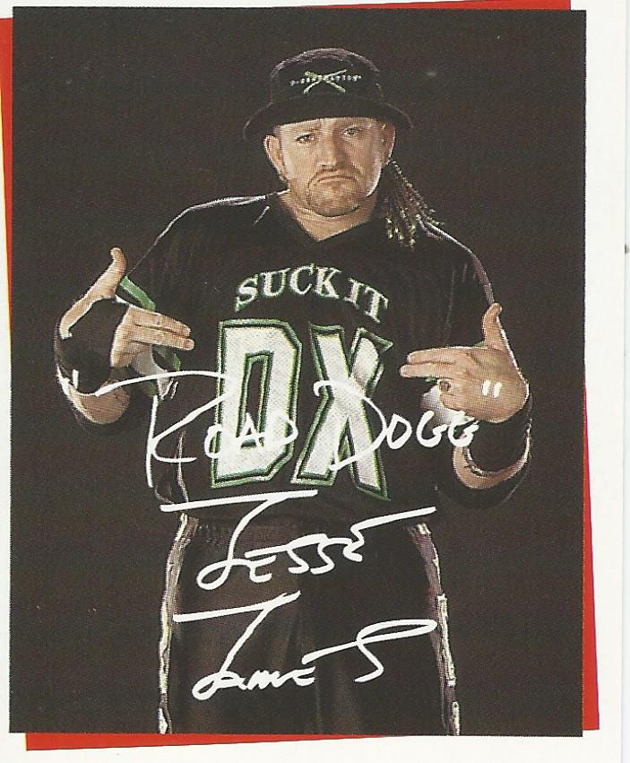 WWF Smackdown Stickers 2000 Road Dogg #253