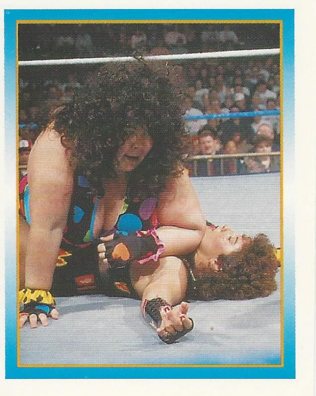 WWF Merlin Stickers 1995 Bertha Faye #254