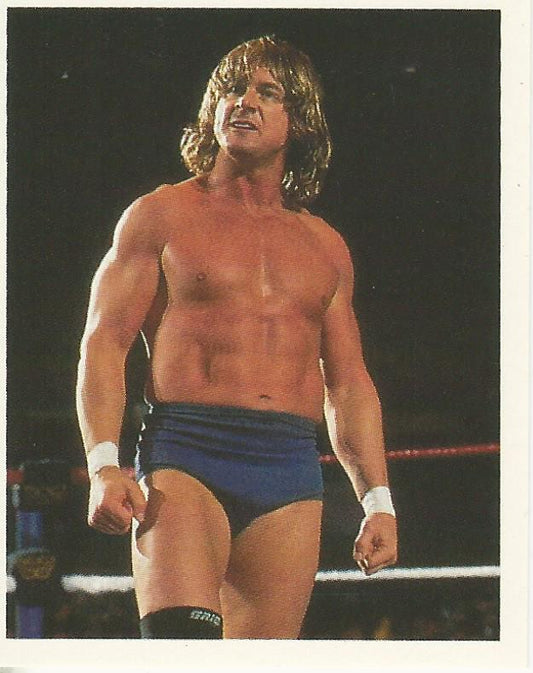 WWF Merlin Stickers 1992 Roddy Piper #255