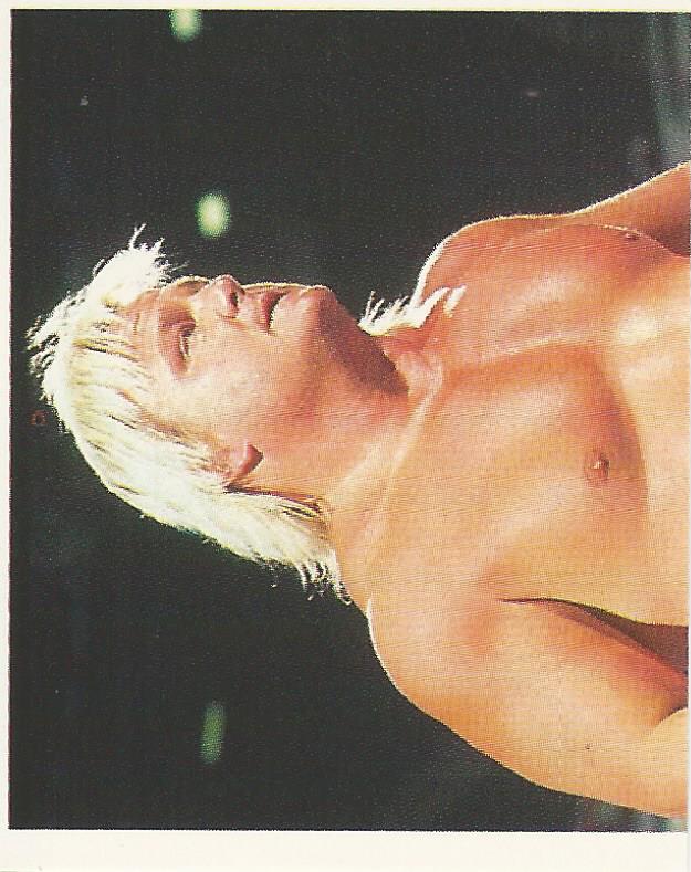 WWF Merlin Stickers 1991 Greg Valentine #257