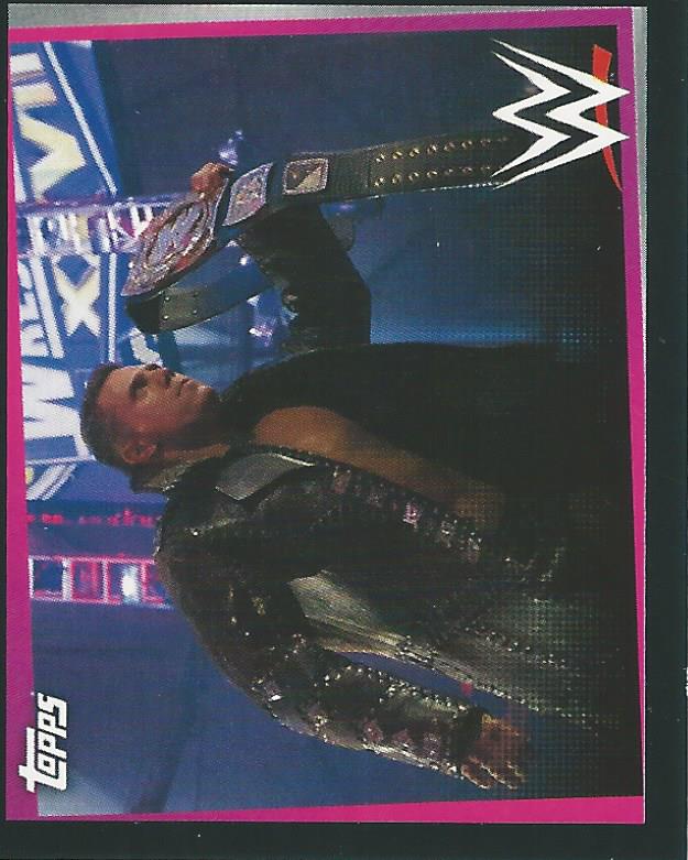 WWE Topps Road to Wrestlemania Stickers 2021 The Miz #258