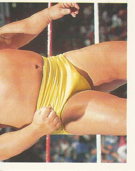 WWF Merlin Stickers 1991 Greg Valentine #258