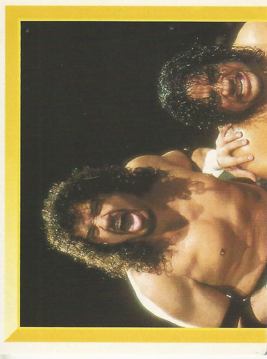 WWF Merlin Sticker 1994 Headshrinkers #259