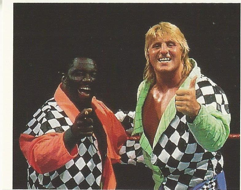 WWF Merlin Stickers 1992 High Energy Owen Hart and Koko B Ware #259