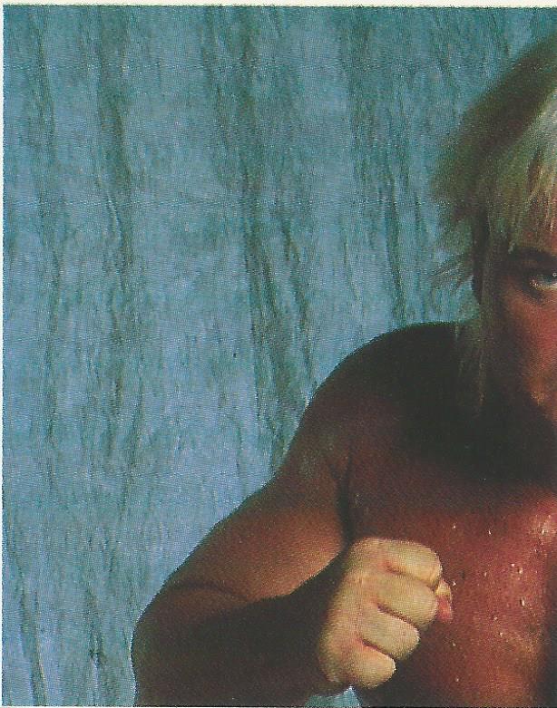 WWF Merlin Stickers 1991 Greg Valentine #259