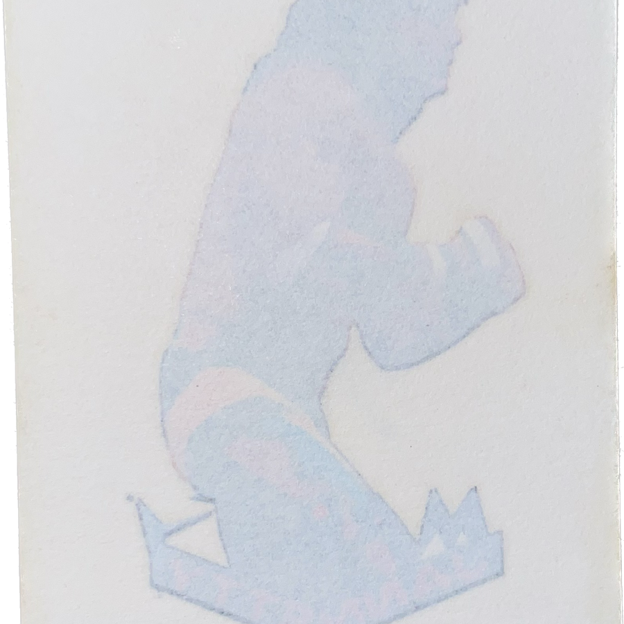 WWF Tattoos 1994 Marty Jannetty from Germany Pwcatalog