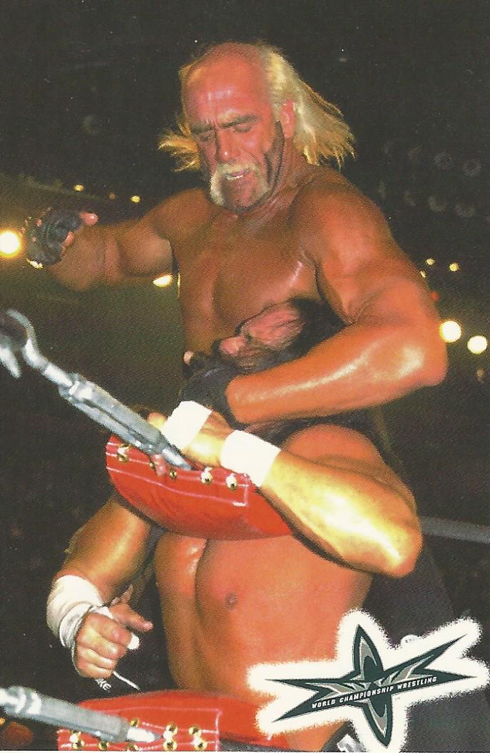 WCW Crazy Planet Stickers 1999 Hulk Hogan trading card PW Catalog