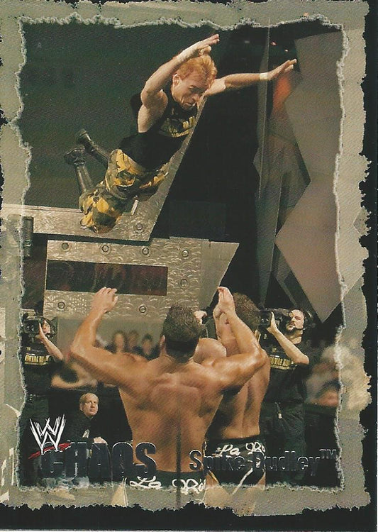 WWE Fleer Chaos 2004 Spike Dudley #25