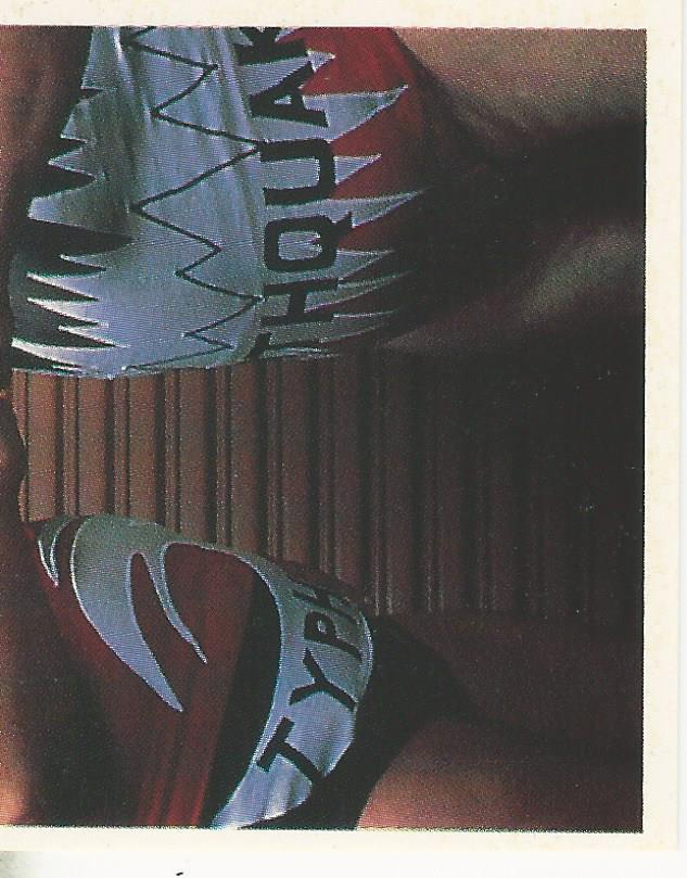 WWF Merlin Stickers 1991 Natural Disasters #25